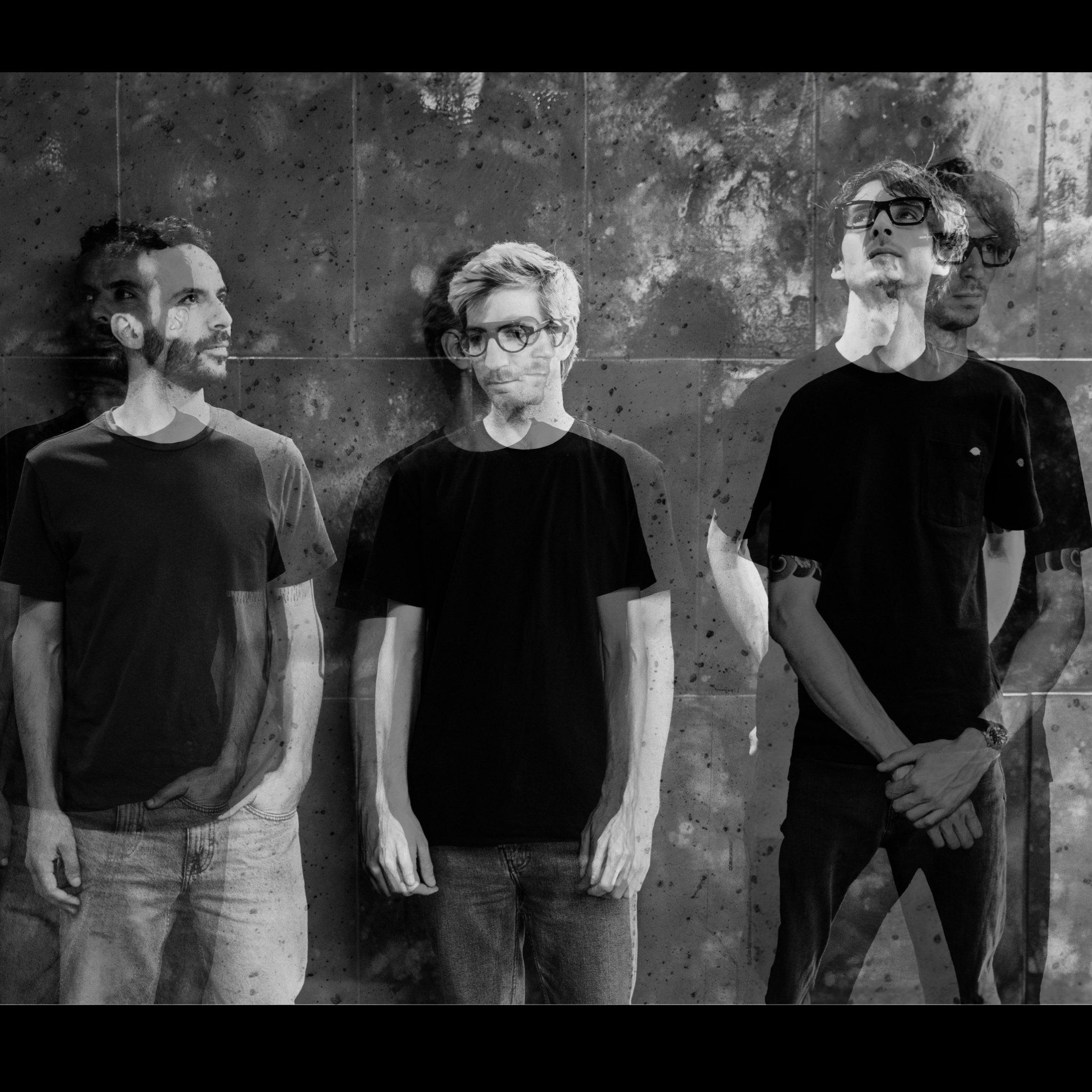 AGGRESSIVE OSTRICH picture